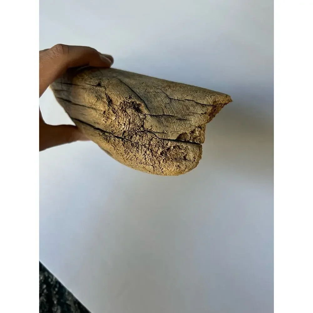 Driftwood from Hetch Hetchy dam 12 inches aquarium art decor